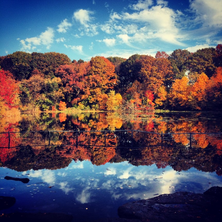 The "Dog Beach" at the park